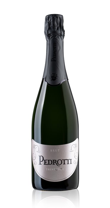 20260215_pedrotti_AR_01563 shop.jpg